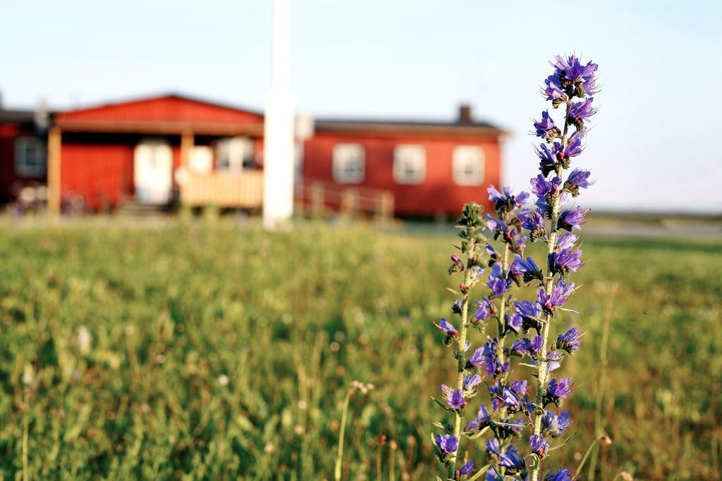 Stf Bunge Hostel Fårösund Εξωτερικό φωτογραφία